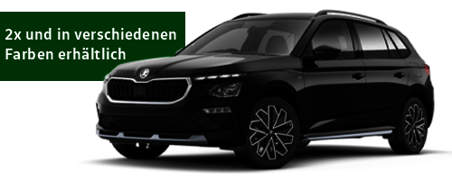 z.B. Skoda Kamiq Tour 1,0 TSI 85 kW (115 PS) 6-Gang-Schaltgetriebe Q3