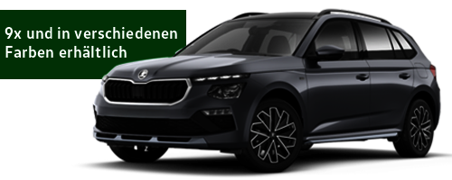 z.B. Škoda Kamiq Tour 1,0 TSI 85 kW (115 PS) 7-Gang-DSG Q3